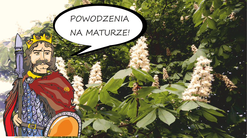 matura na stronkę