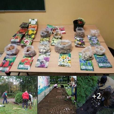 Zrzut ekranu 2020 10 07 101042