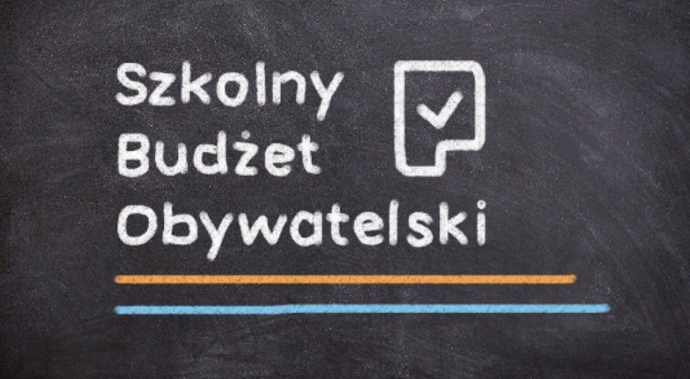 Realizujemy Szkolny Budżet Obywatelski!